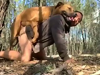 Zoofilia hombres con perros