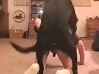 Zoofilia gay con perro