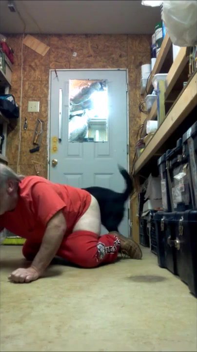 xxx gay con perro