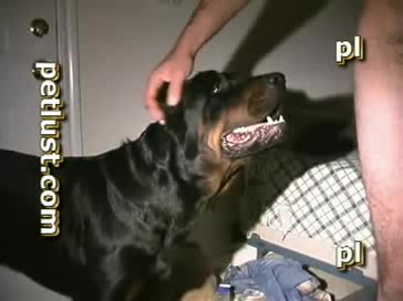 Gay and dog