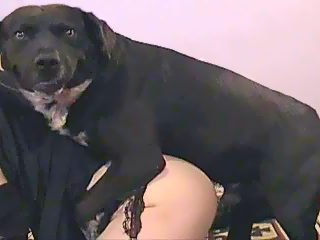 Crossdresser dog fuck