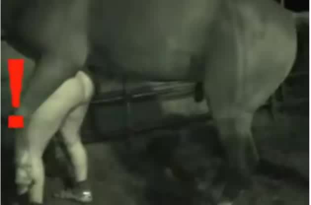 VID 270 Big Horse and Gay