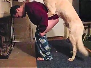 Perro penetra a su dueño