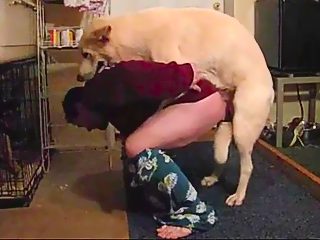 Perro penetra a su dueño