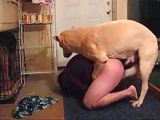 Perro penetra a su dueño