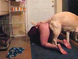 Perro penetra a su dueño